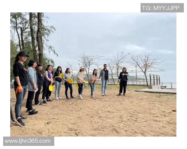 深圳飞盘队个人能力分析与团队协作的深度探讨 深圳飞盘队个人能力分析与团队协作的深度探讨