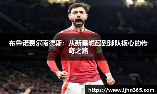 新博官网