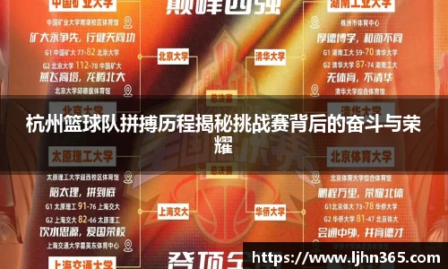 新博2